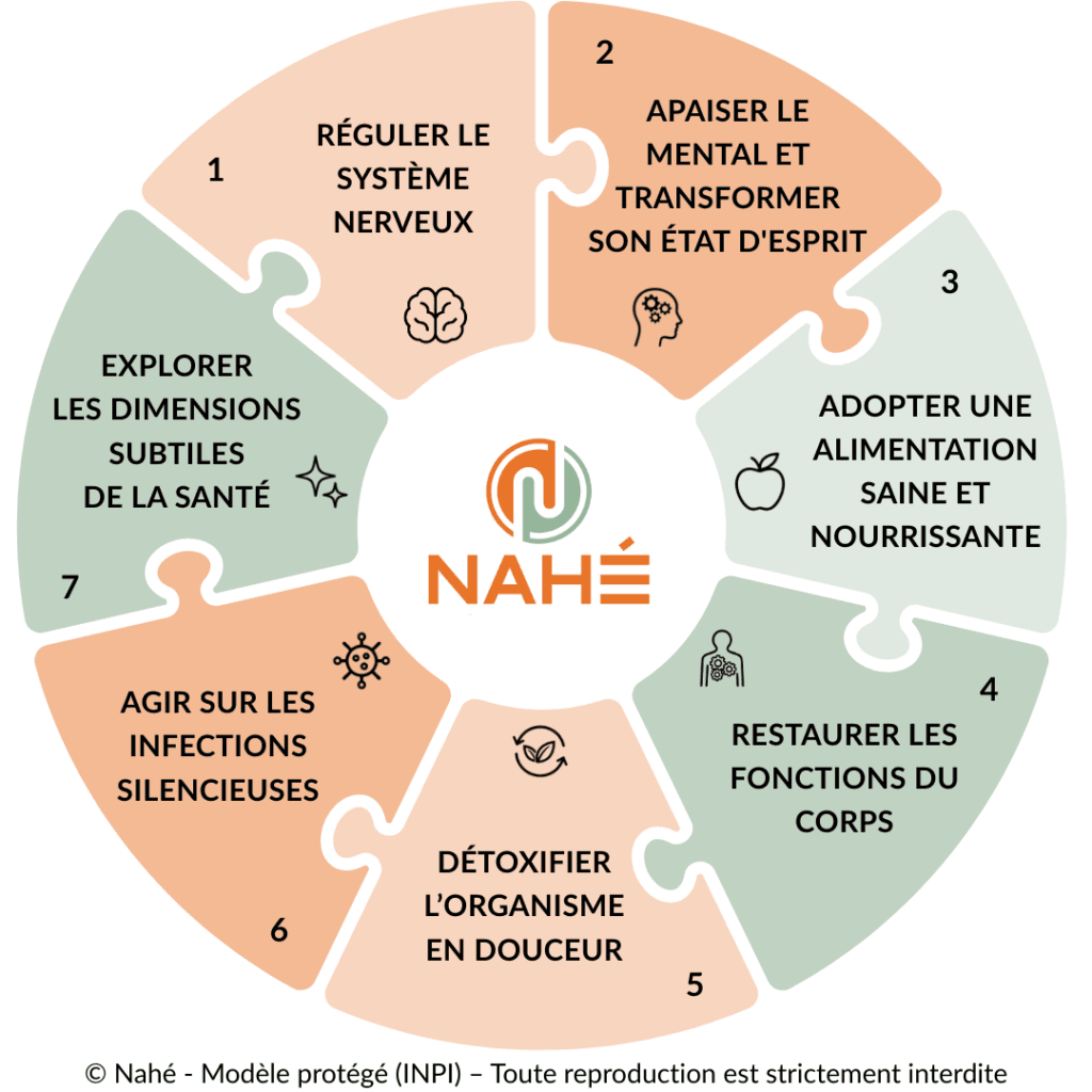 schéma du modèle nahé en 7 étapes