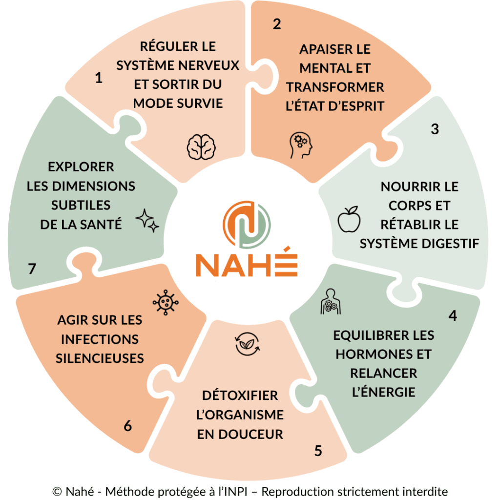 schéma des 7 parcours nahé