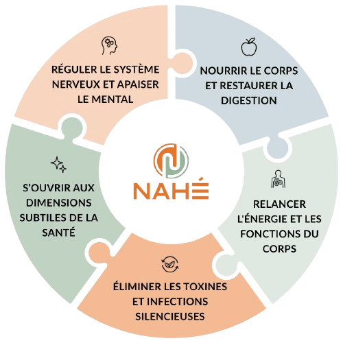 schéma des 5 étapes nahé