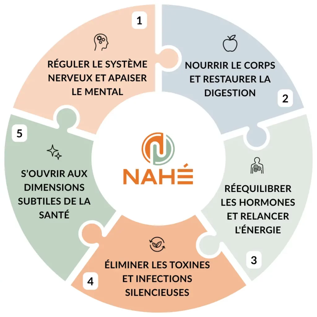 schéma des 5 étapes nahé